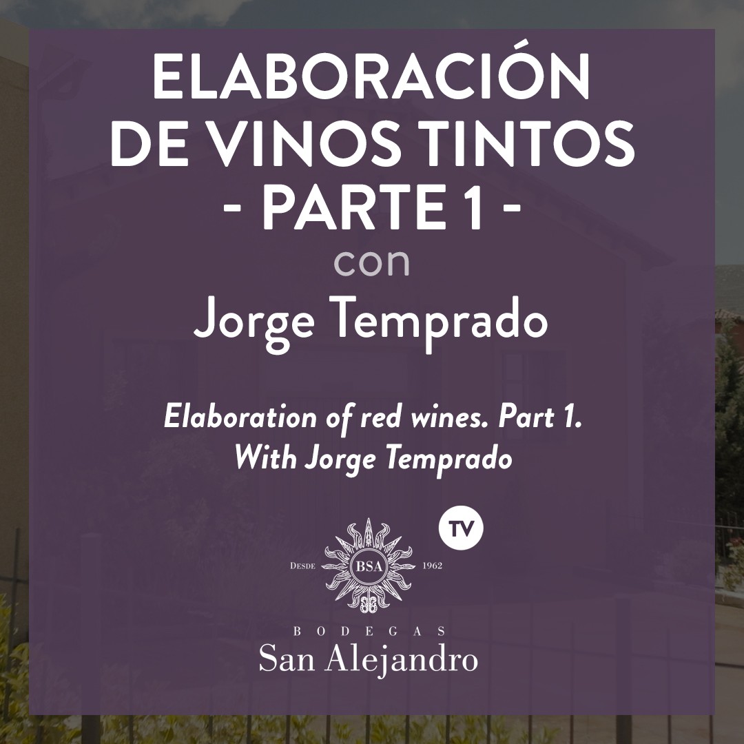 Bodegas San Alejandro elaboracion vinos tintos