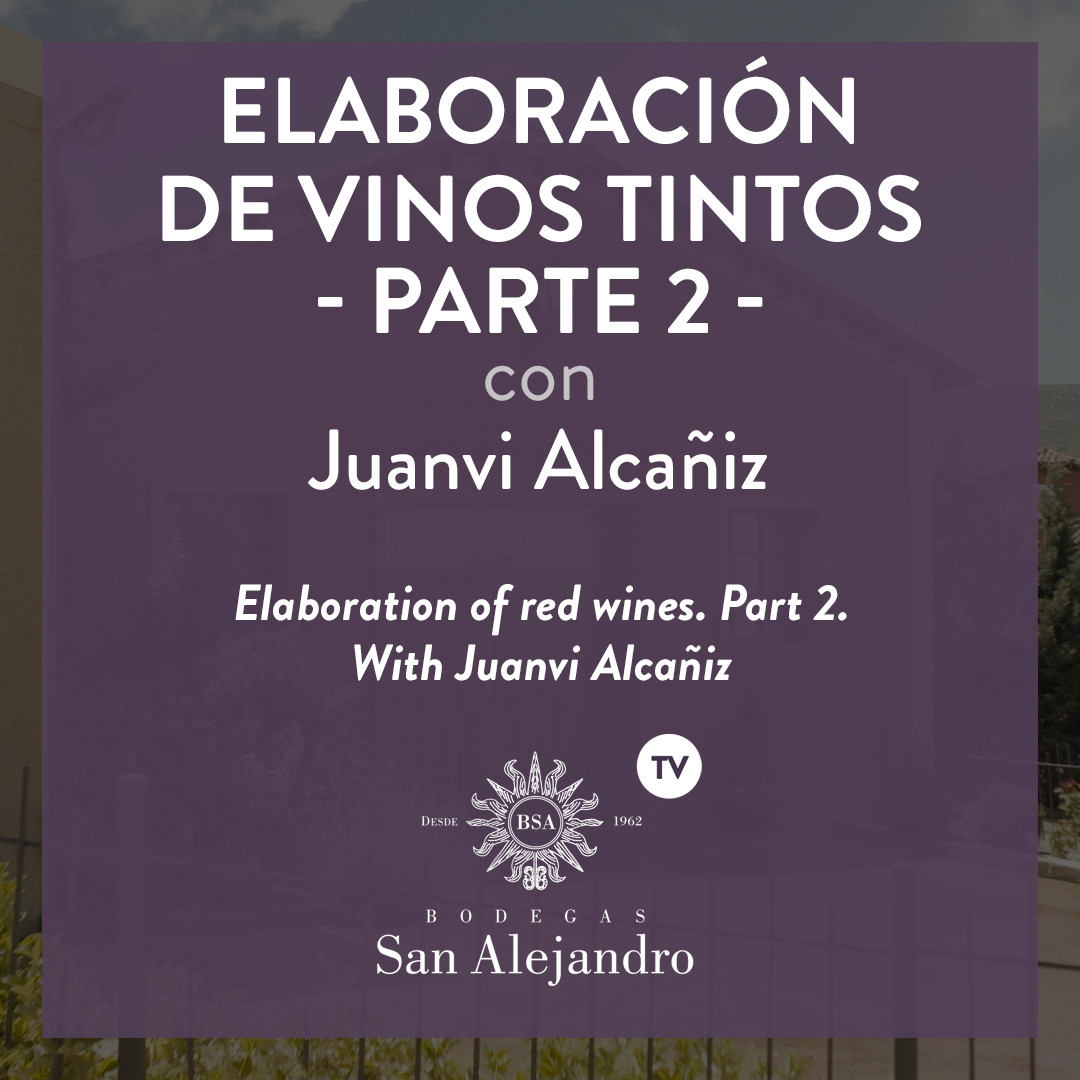 Elaboration red wines BSA red wines elaboration BSA