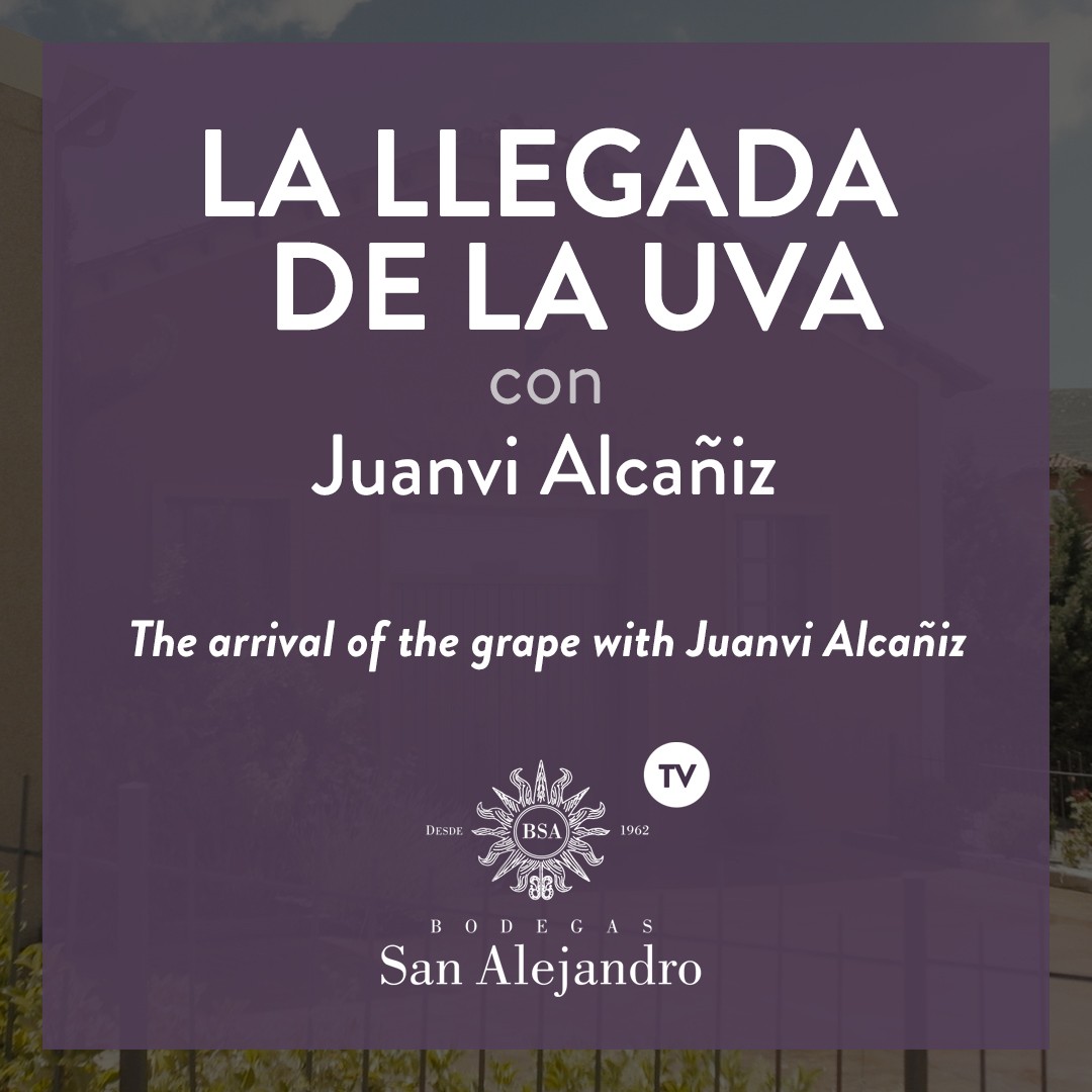 Bodegas San Alejandro Juanvi Alcañiz