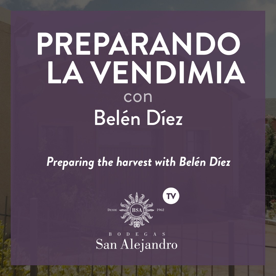 Preparing the harvest with Belén Díez