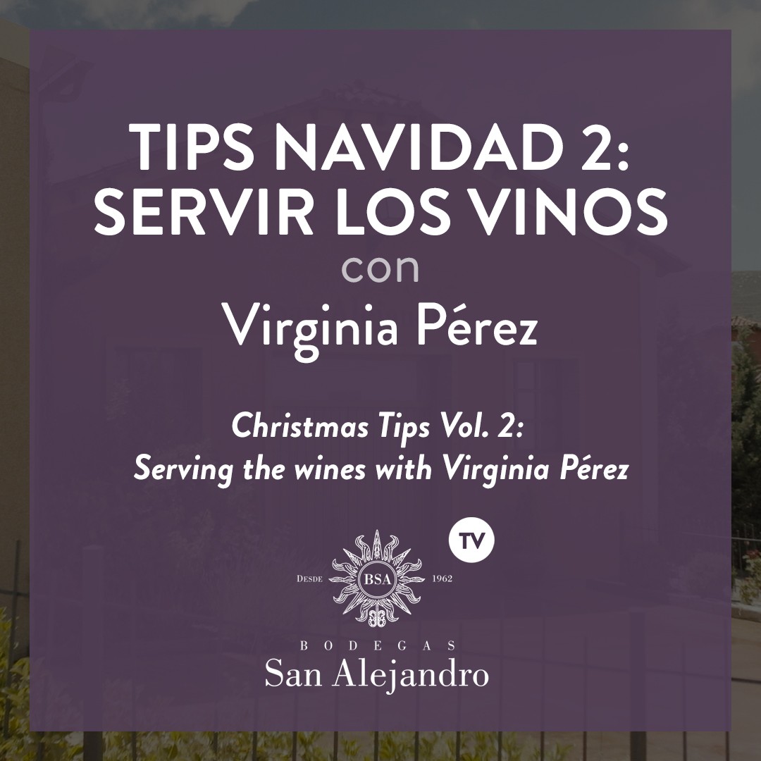 serving wines bodegas san alejandro serving wines christmas