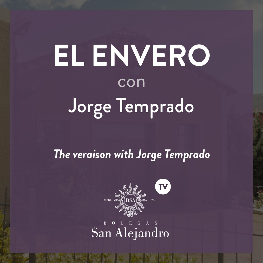 The veraison with Jorge Temprado The veraison with Jorge Temprado