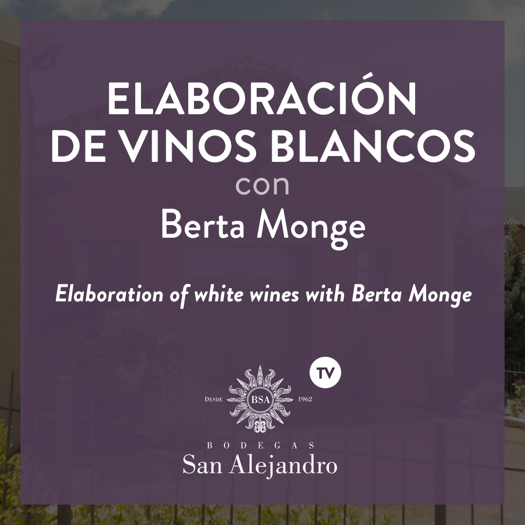 White wines elaboration