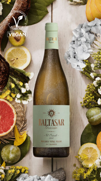 Baltasar Gracián Viñas Viejas Macabeo